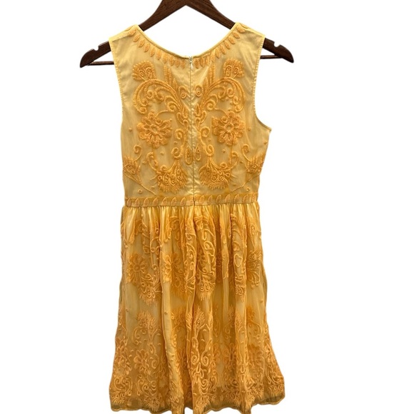 Sundance Sheer Embroidered Floral Dress Lined Buttercup Pale Yellow Sz 2 - Picture 4 of 9